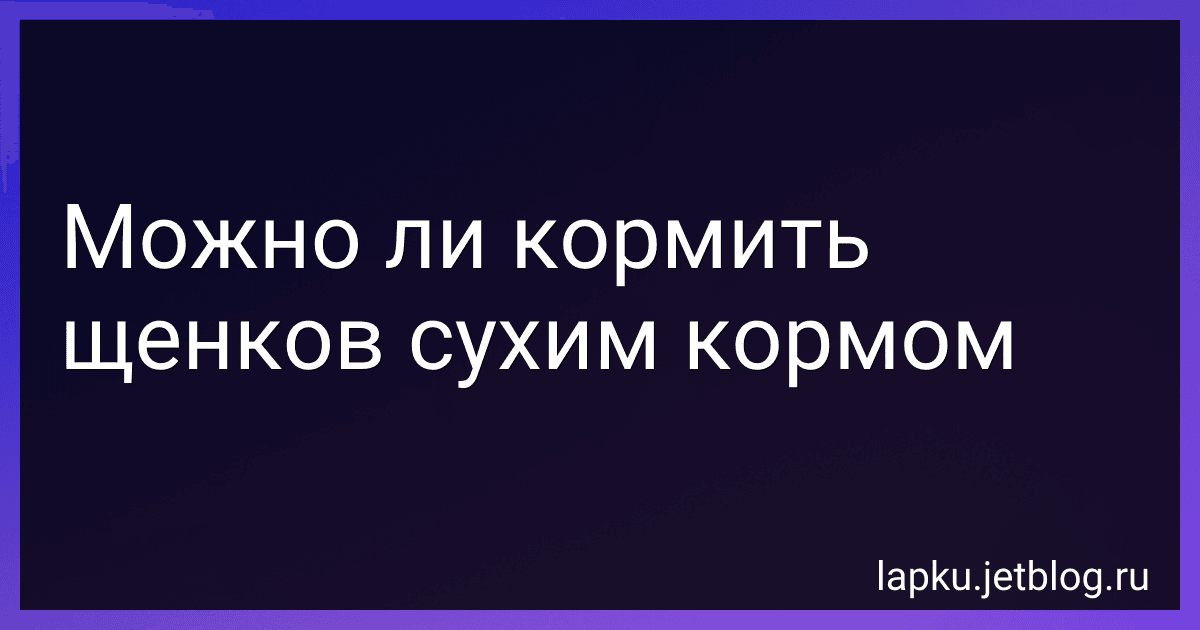 Можно ли кормить щенков сухим кормом preview