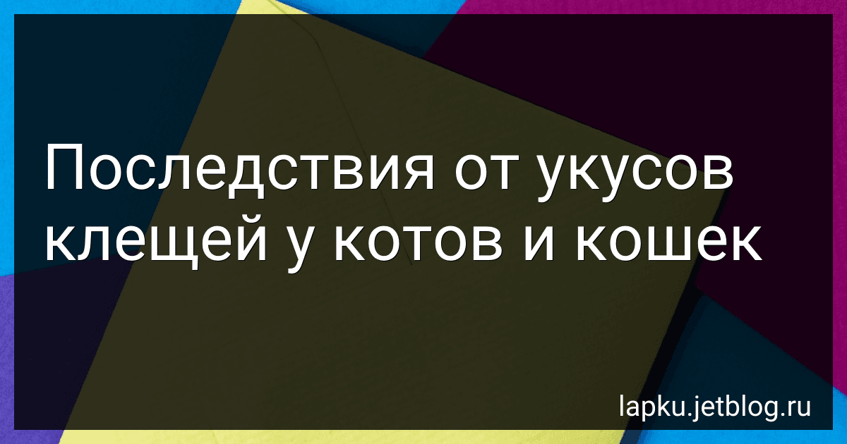 Последствия от укусов клещей у котов и кошек image