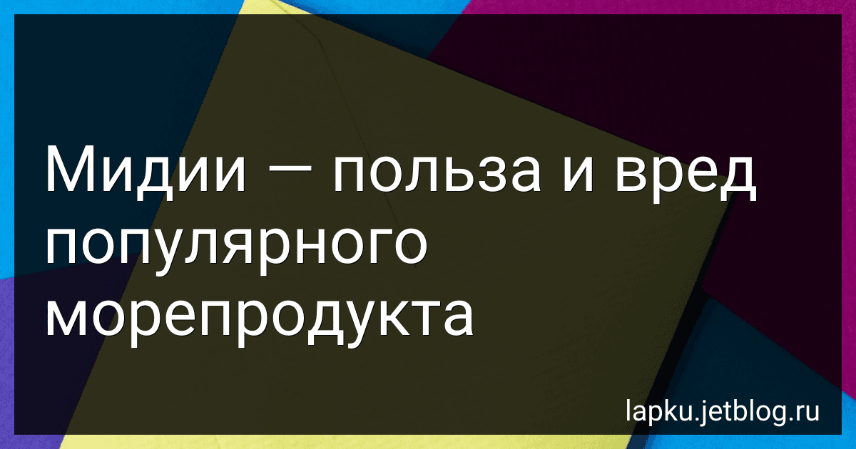 Мидии - польза и вред популярного морепродукта image