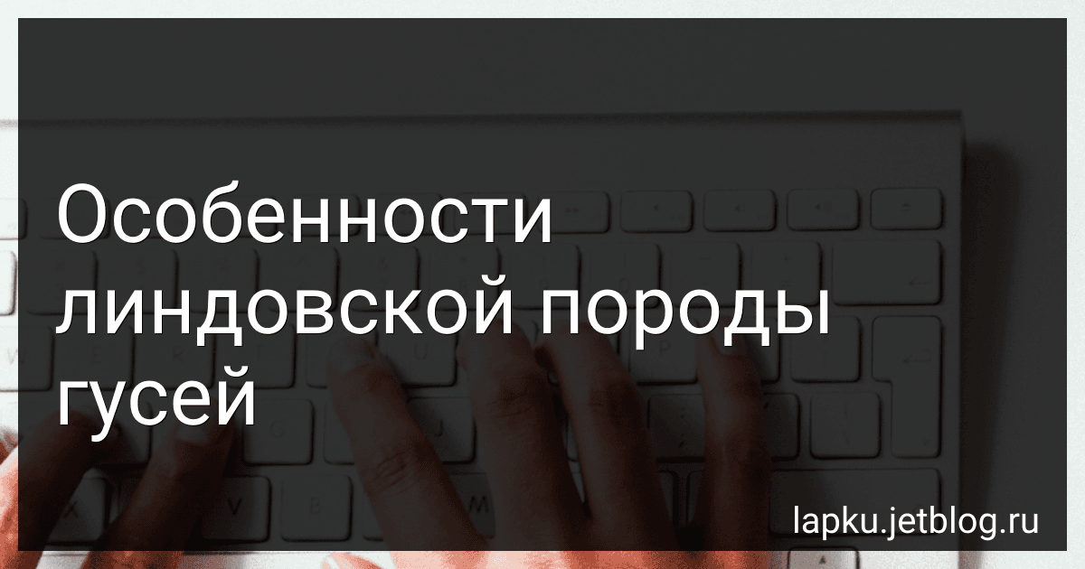 Особенности линдовской породы гусей image