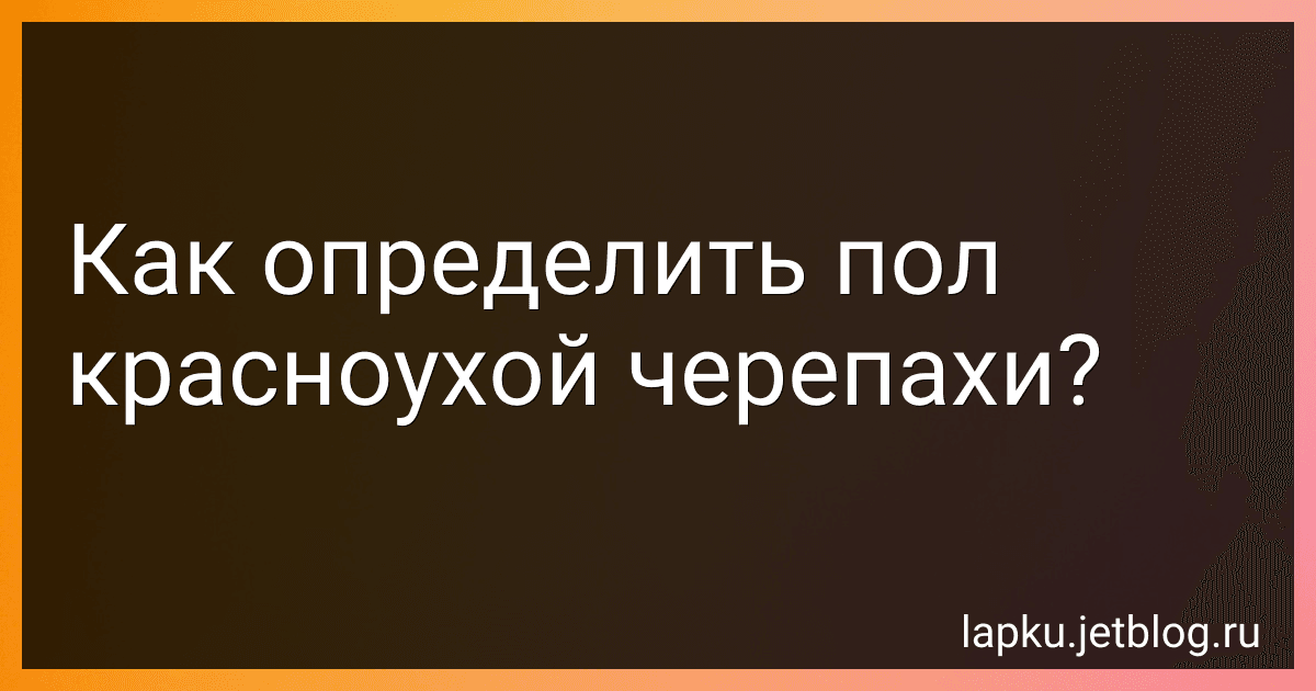 Как определить пол красноухой черепахи? preview