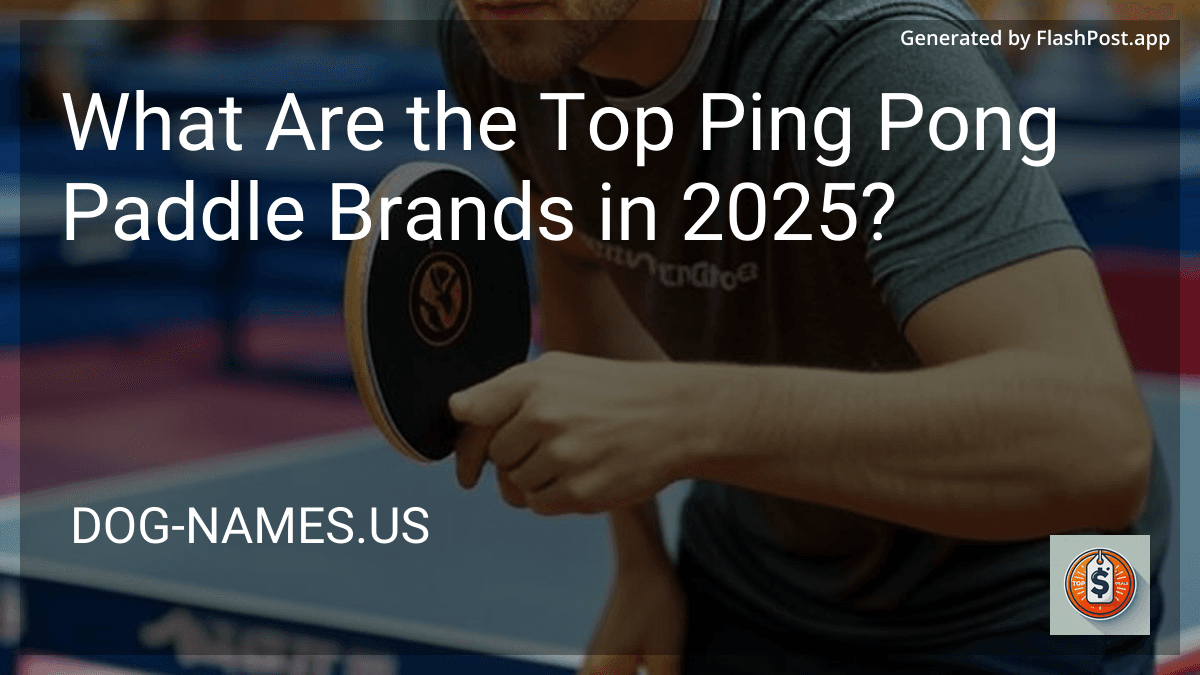 What Are the Top Ping Pong Paddle Brands in 2025? preview