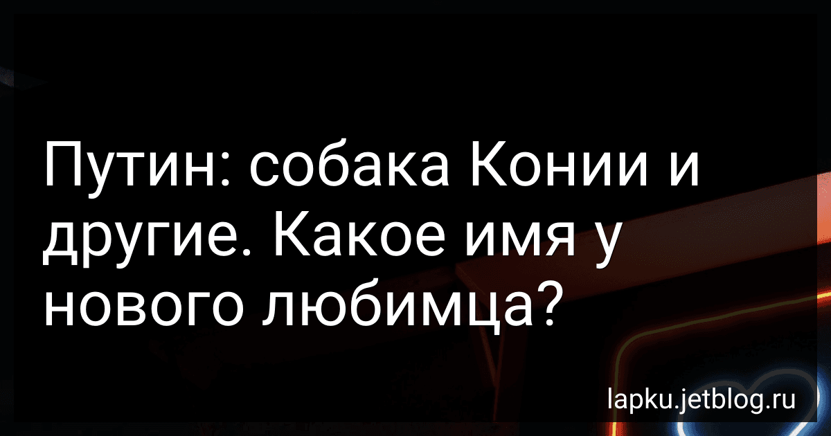 Путин: собака Конии и другие. Какое имя у нового любимца? preview
