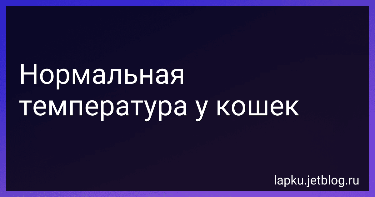 Нормальная температура у кошек image