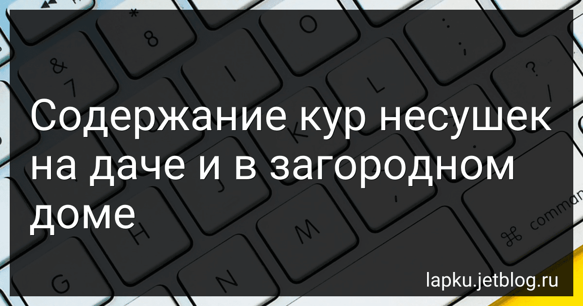 Содержание кур несушек на даче и в загородном доме image