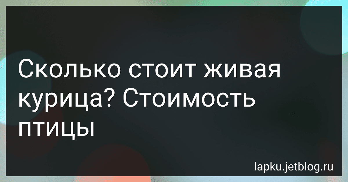 Сколько стоит живая курица? Стоимость птицы image