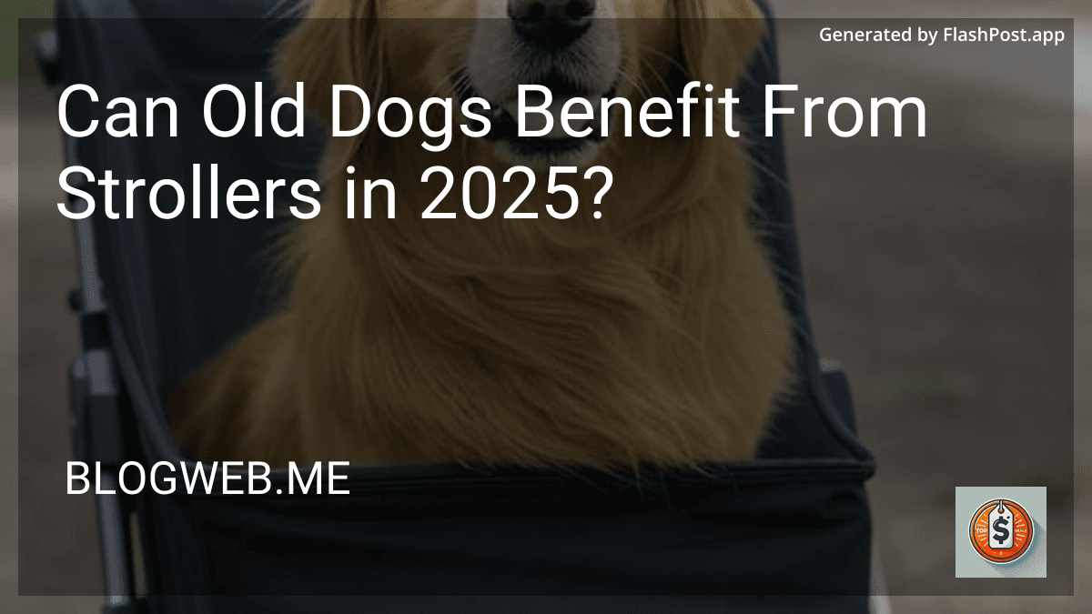 Can Old Dogs Benefit From Strollers in 2025? preview