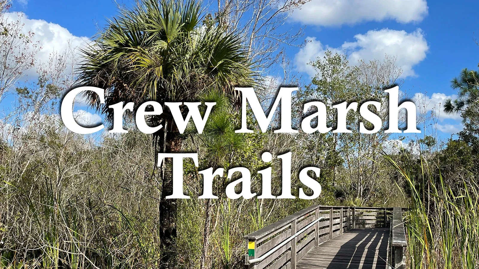 Exploring CREW Marsh Trails: A Natural Gem in Southwest Florida preview