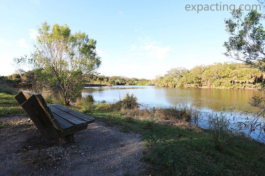 Exploring Red Bug Slough Preserve: A Natural Oasis in Sarasota preview