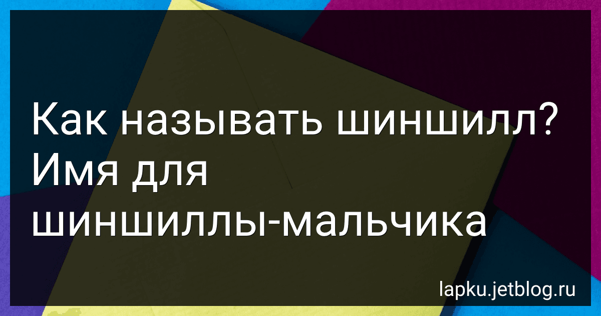 Как называть шиншилл? Имя для шиншиллы-мальчика preview