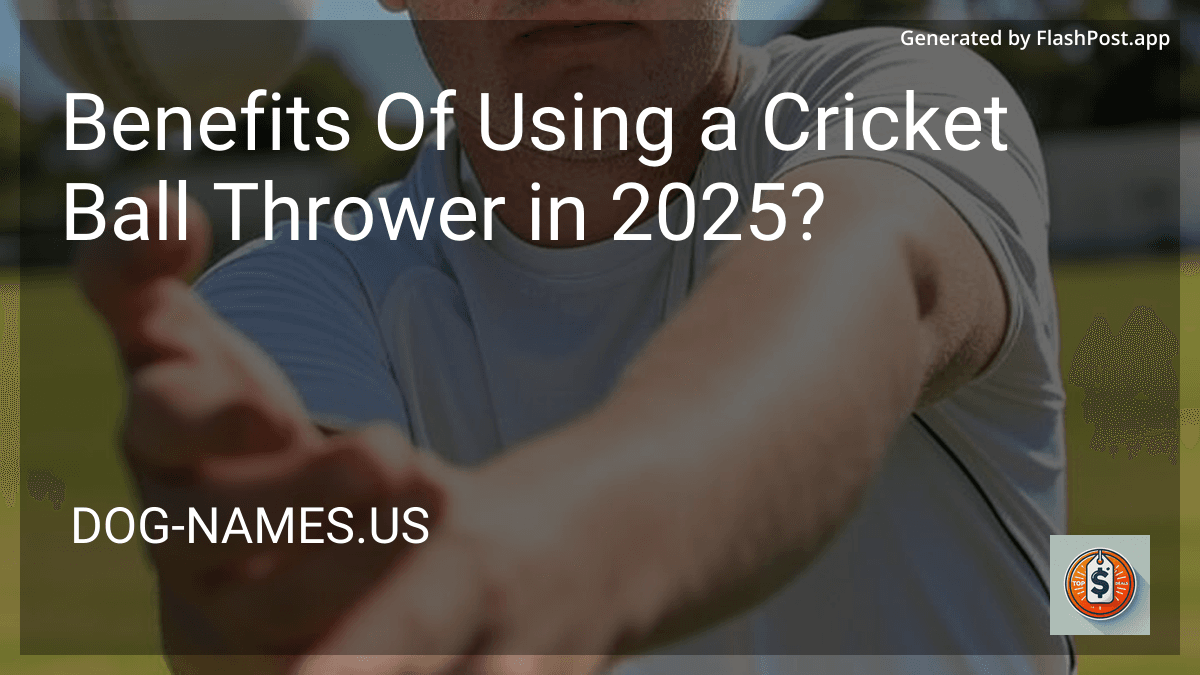 Benefits Of Using a Cricket Ball Thrower in 2025? preview