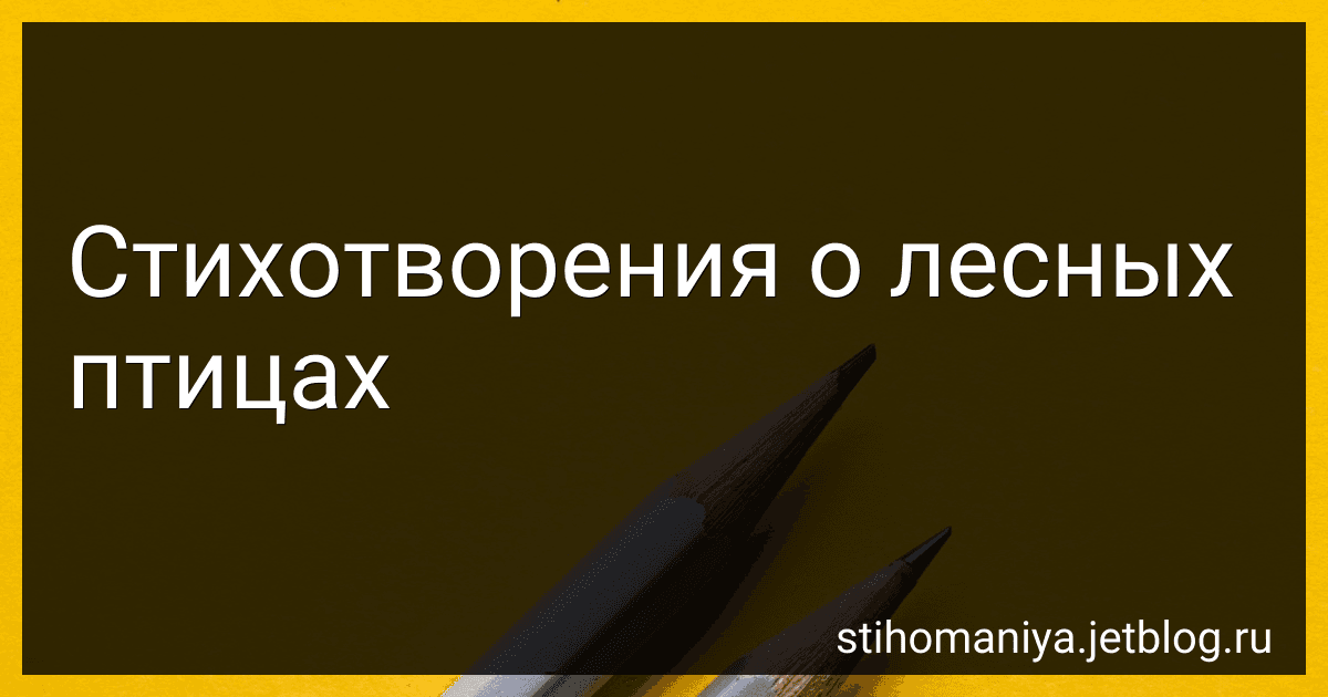 Стихотворения о лесных птицах preview