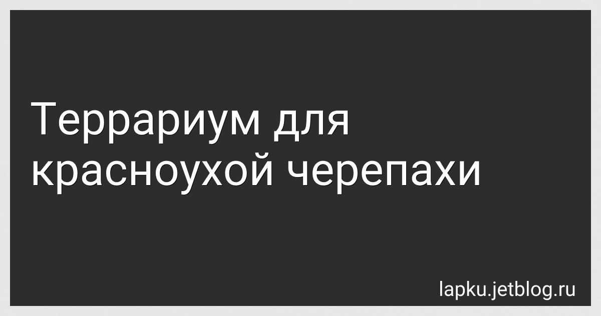 Террариум для красноухой черепахи image