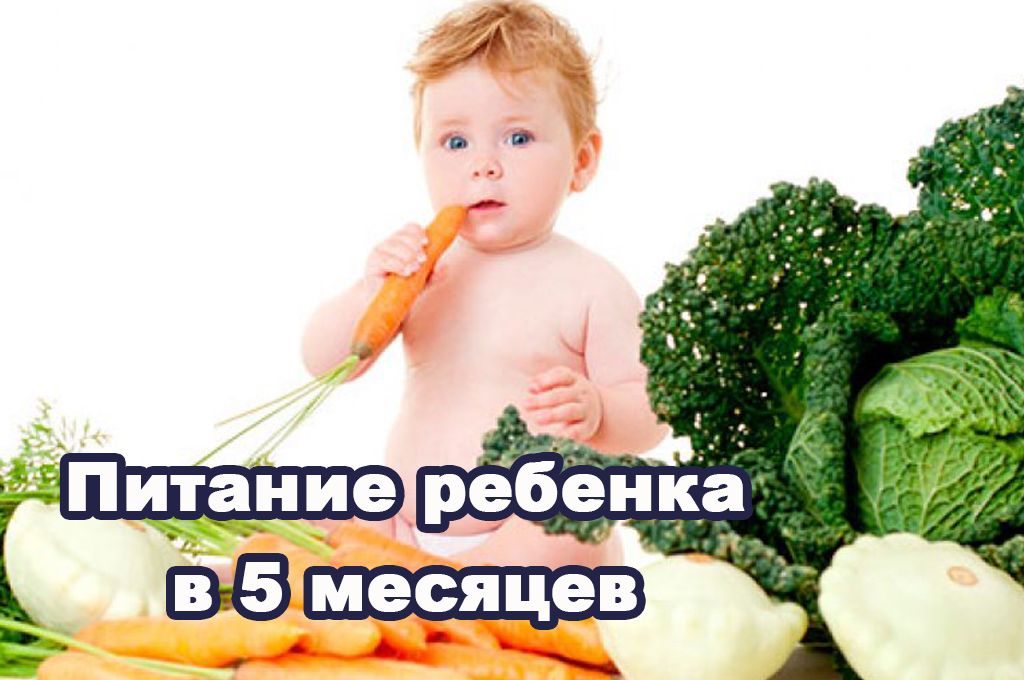 Питание ребенка в 5 месяцев image