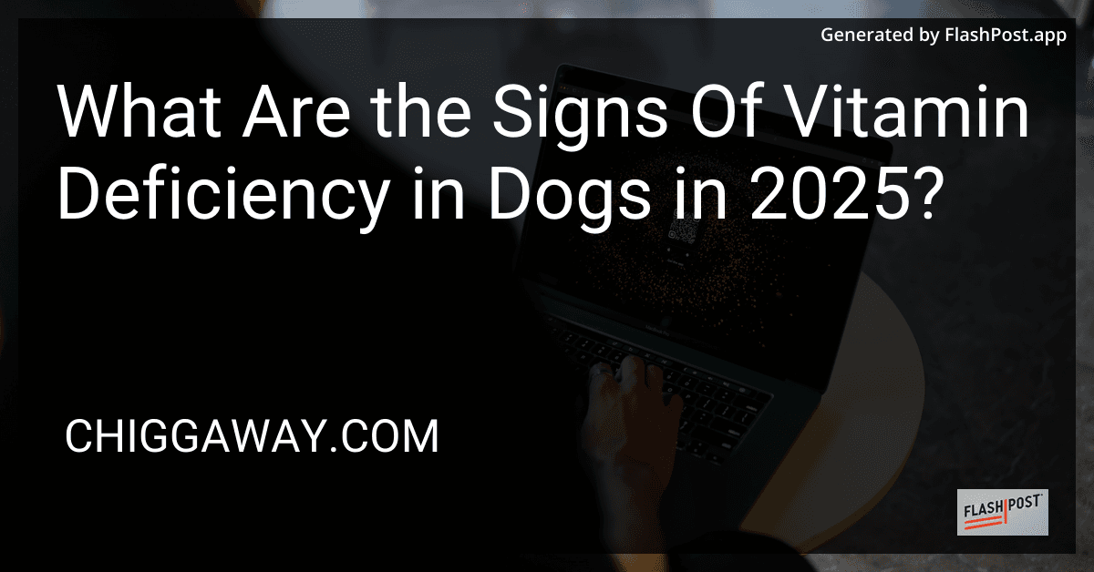What Are the Signs Of Vitamin Deficiency in Dogs in 2025? preview