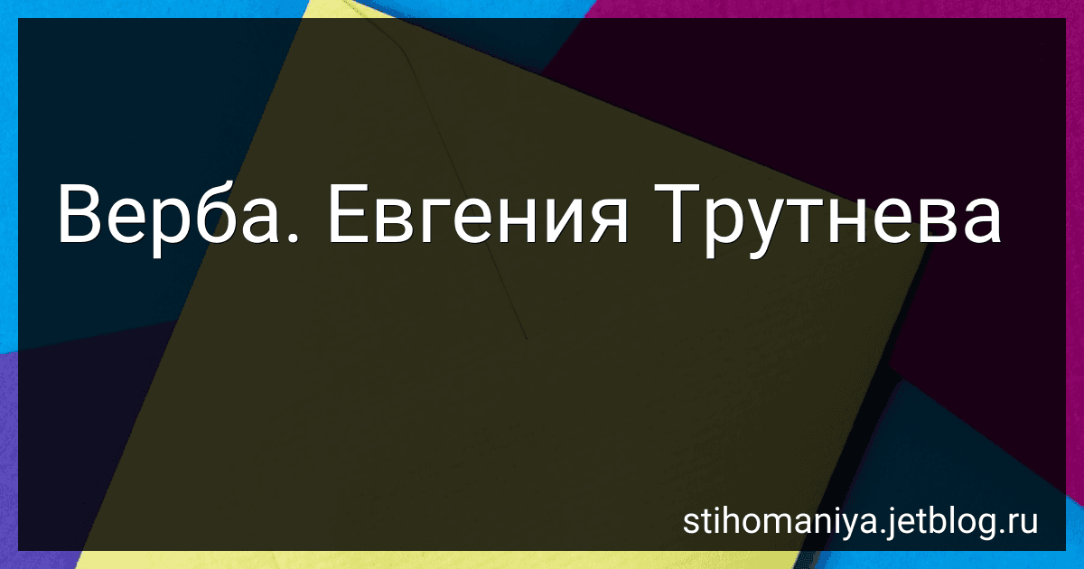Верба. Евгения Трутнева preview