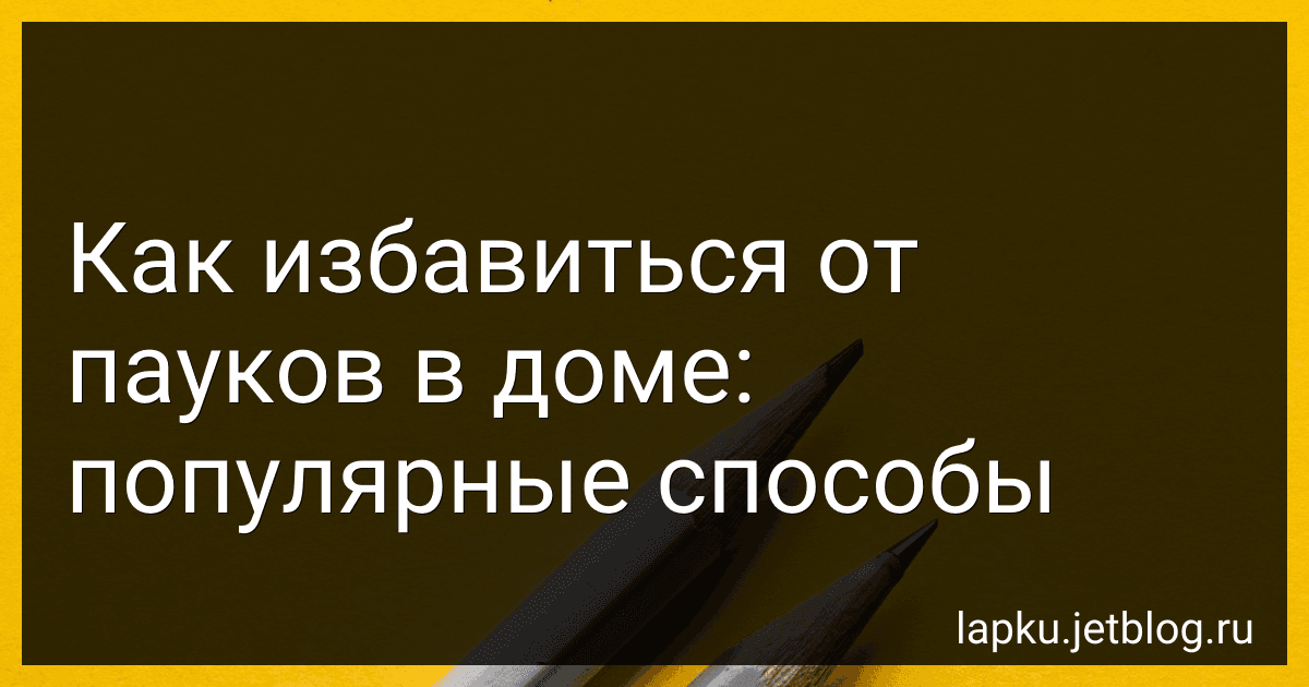 Как избавиться от пауков в доме: популярные способы image