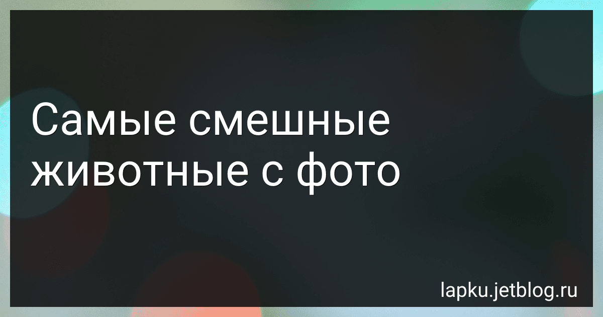 Самые смешные животные с фото image