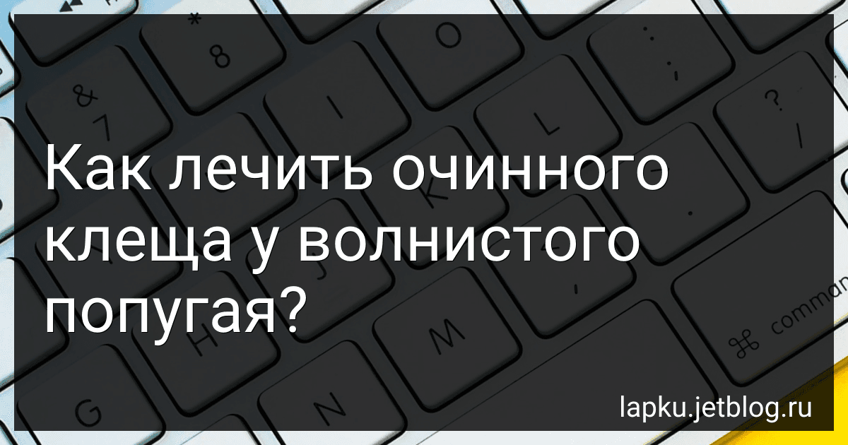 Как лечить очинного клеща у волнистого попугая? image