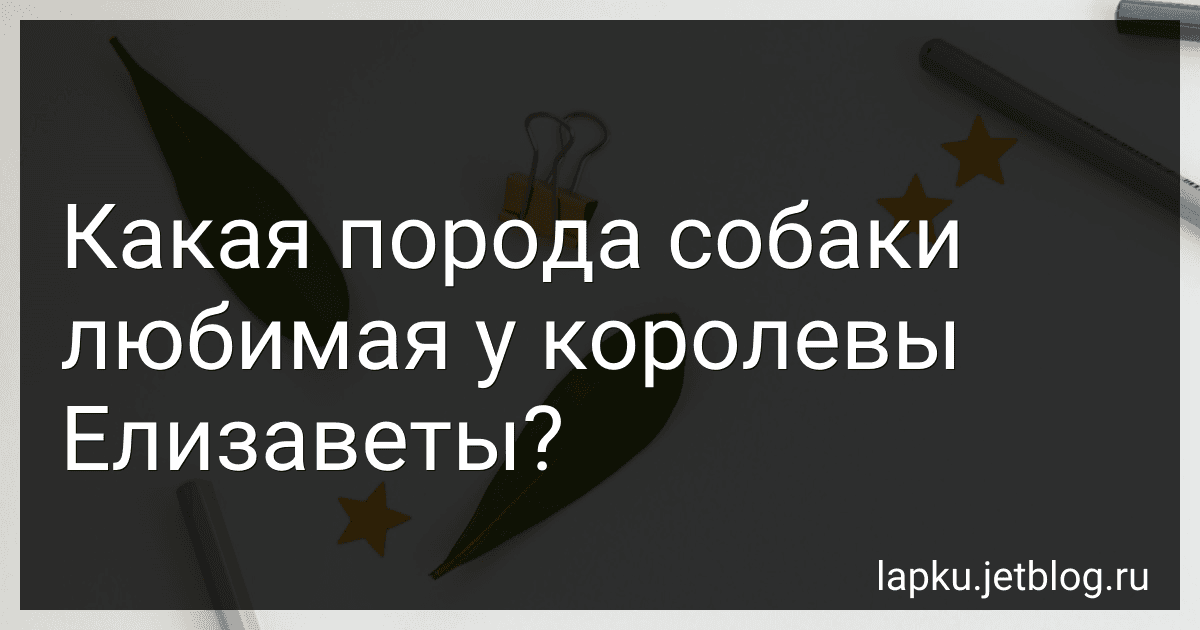 Какая порода собаки любимая у королевы Елизаветы? preview