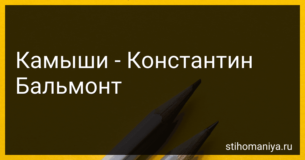 Камыши - Константин Бальмонт preview