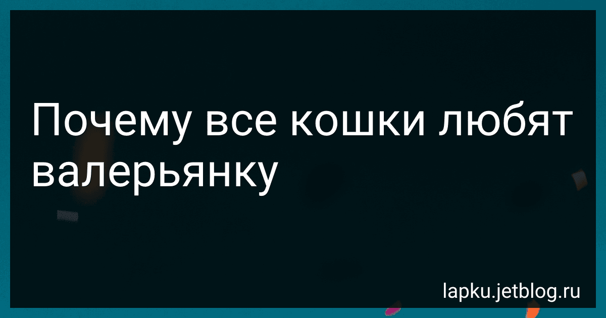Почему все кошки любят валерьянку image