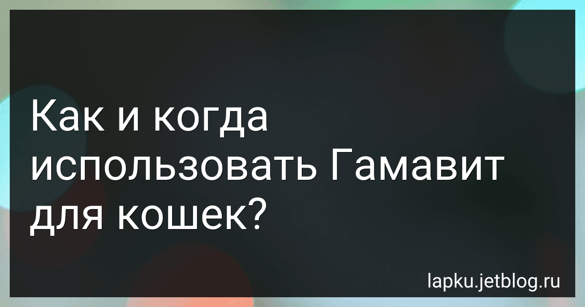 Как и когда использовать Гамавит для кошек? image