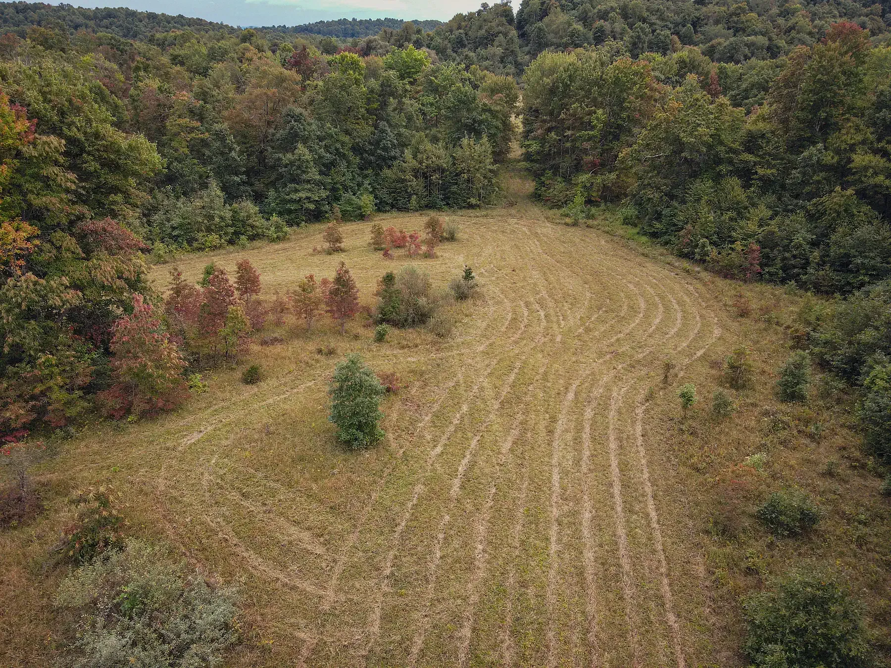 How Much Land Is In West Virginia? image