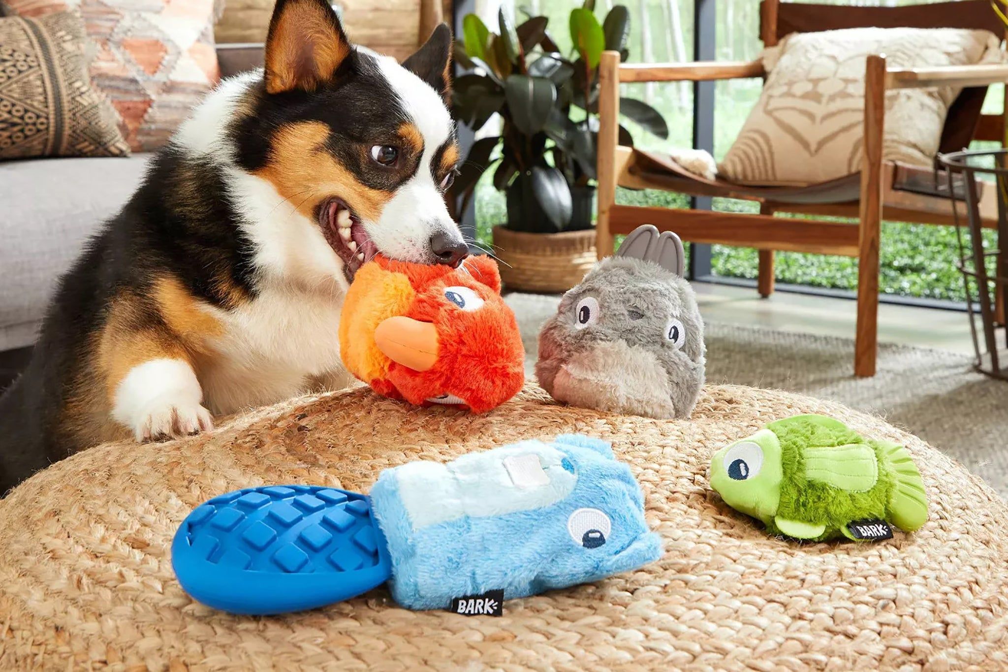 How Often Should I Replace Dog Toys? preview