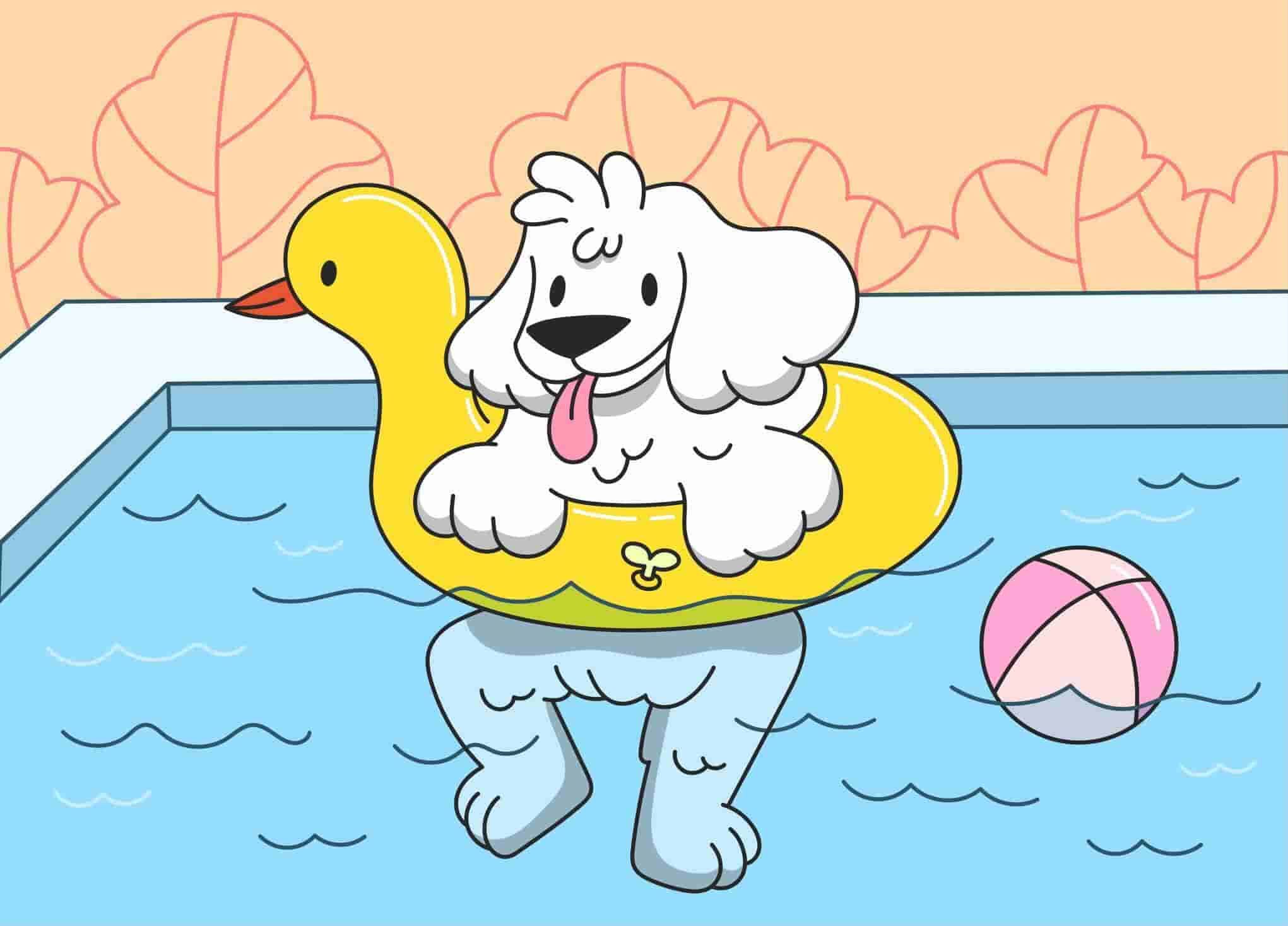 How to Teach a Dog to Swim in a Bathtub? preview