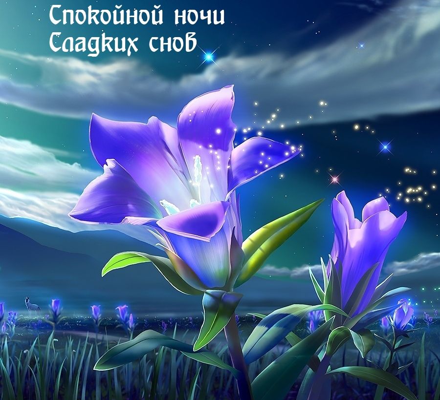 Как пожелать девушке спокойной ночи image
