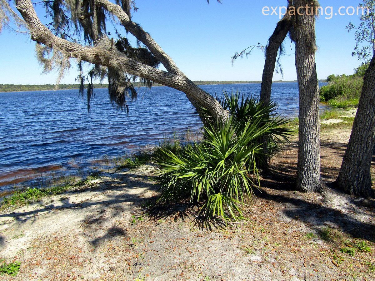 Lake Manatee State Park: A Hidden Gem in Florida’s Heartland preview