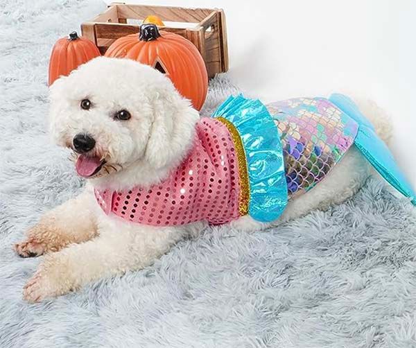 Mermaid Dog Costume preview