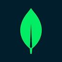 MongoDB Atlas