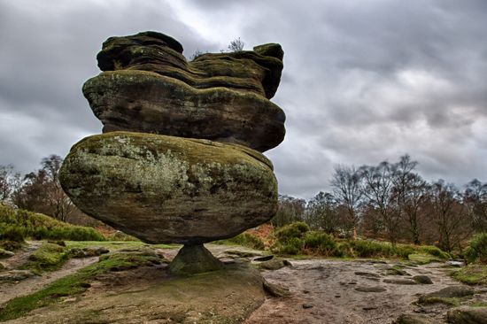 Mother Nature's Balancing Act - The Nitrifying Cycle image