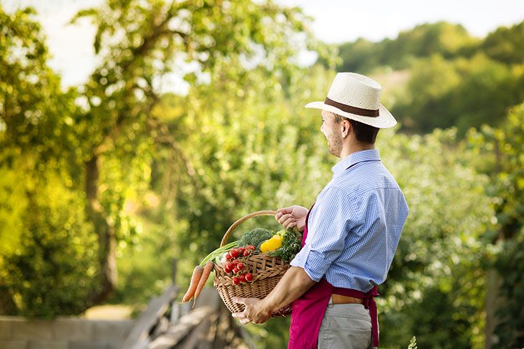 Organic vegetable gardening is the way to go image