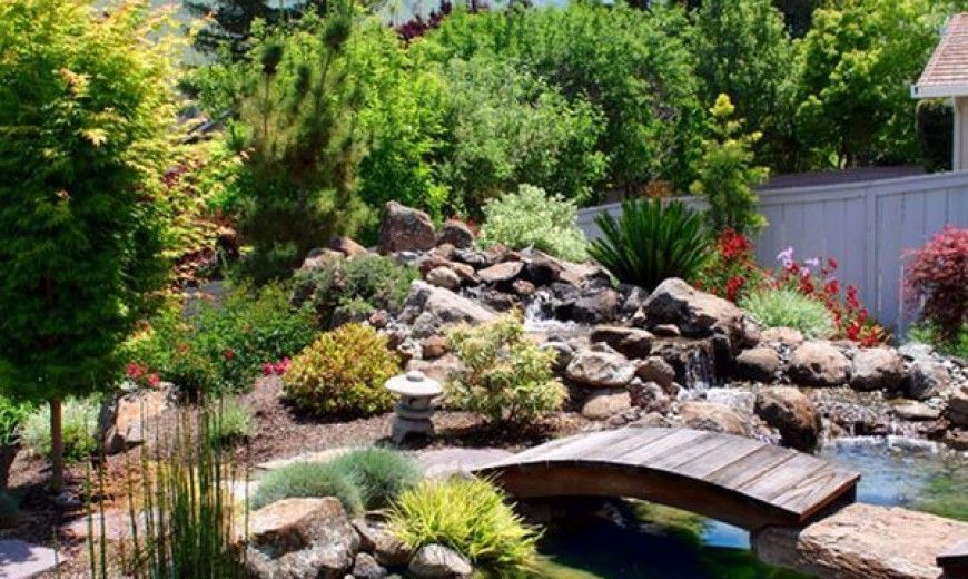 Outdoor Decorative Touches for the Holidays from Pond Doc's Water Garden Center image