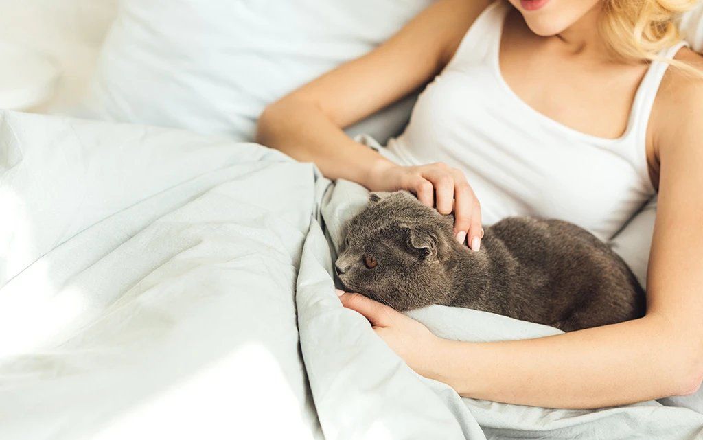 Почему кошки спят на человеке? image