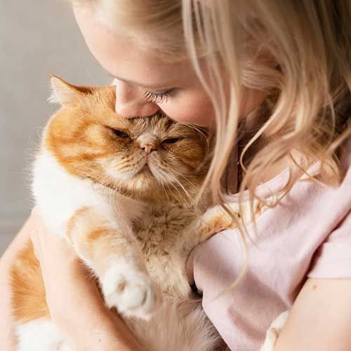 Почему нельзя целовать кошек image