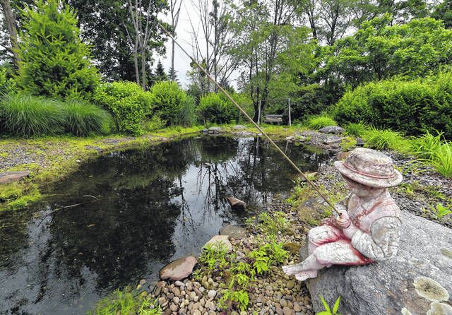 Pond Envy -- Complication of a Serious Disease image