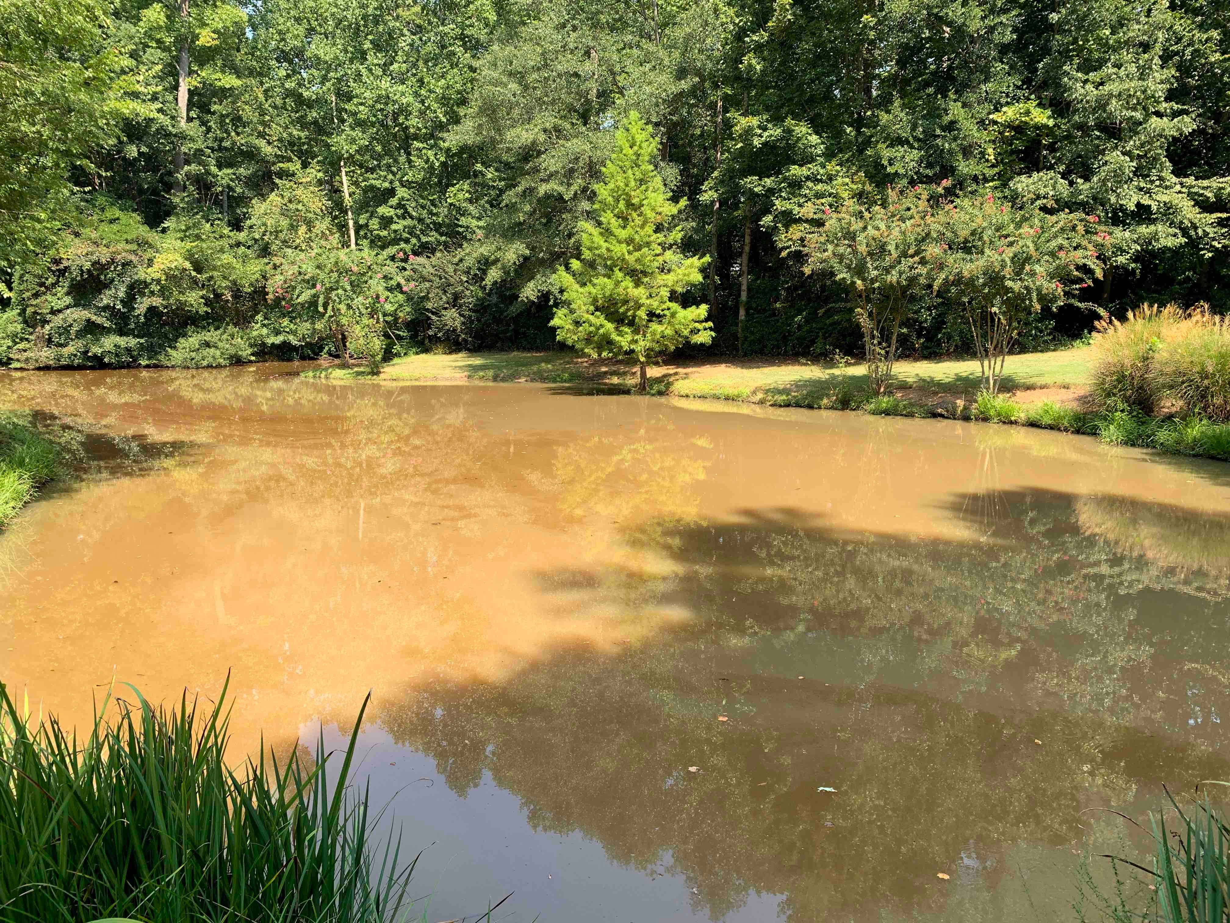 Pond Planning Pitfalls & Problems preview