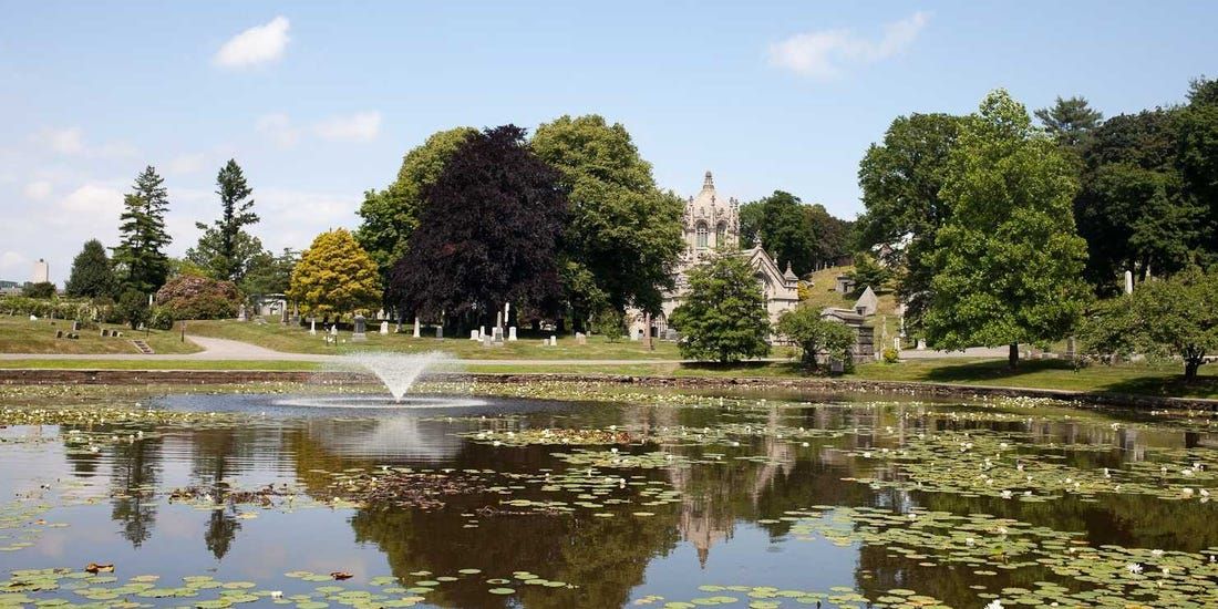 Ponds of the Rich & Famous image