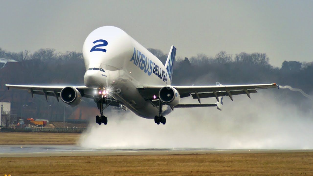 Airbus Beluga image
