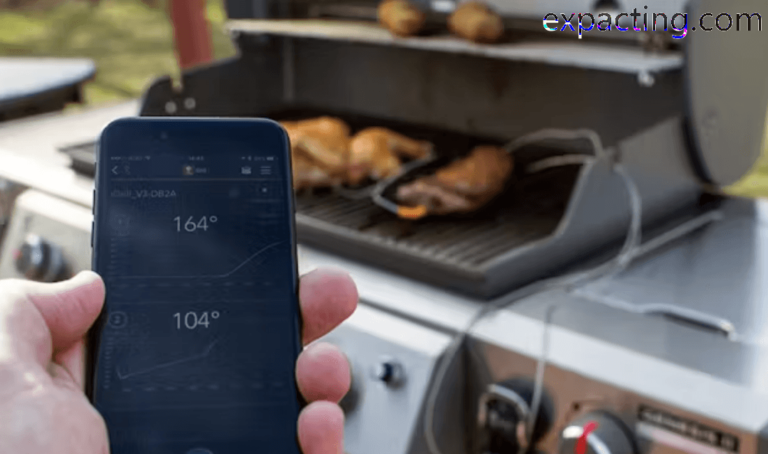 The Best Smart Meat Thermometer preview