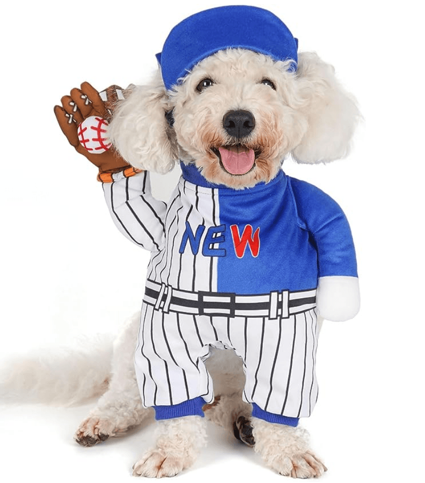 Baseball Player Dog Costume image