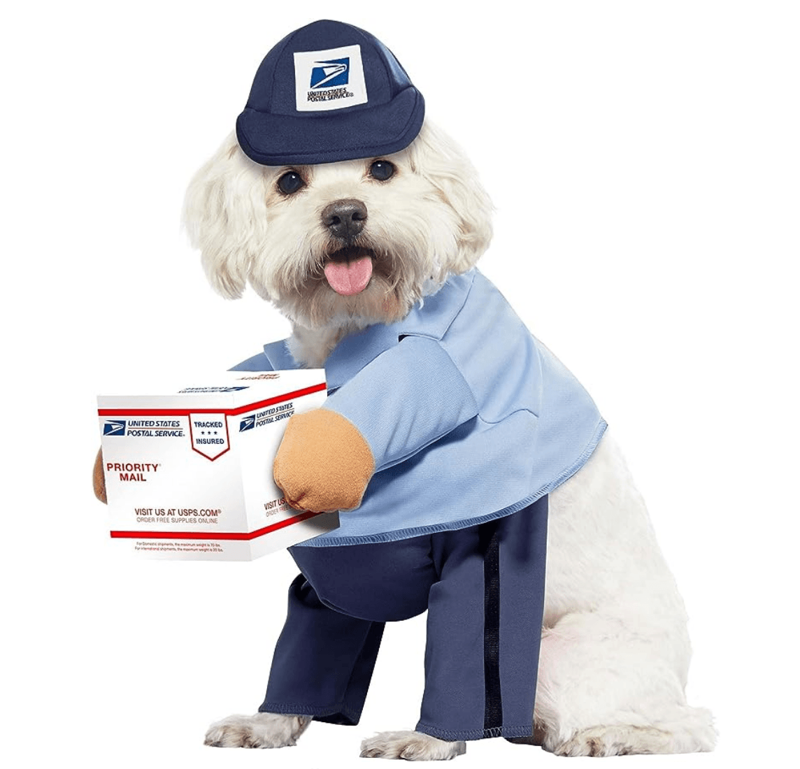 Dog Costume Mail Carrier image