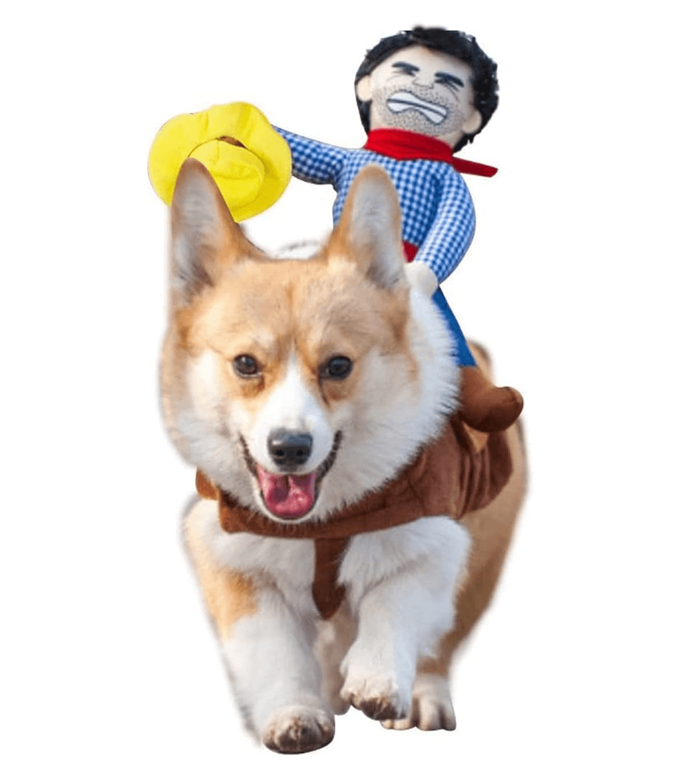 Dog Costume Cowboy Rider image