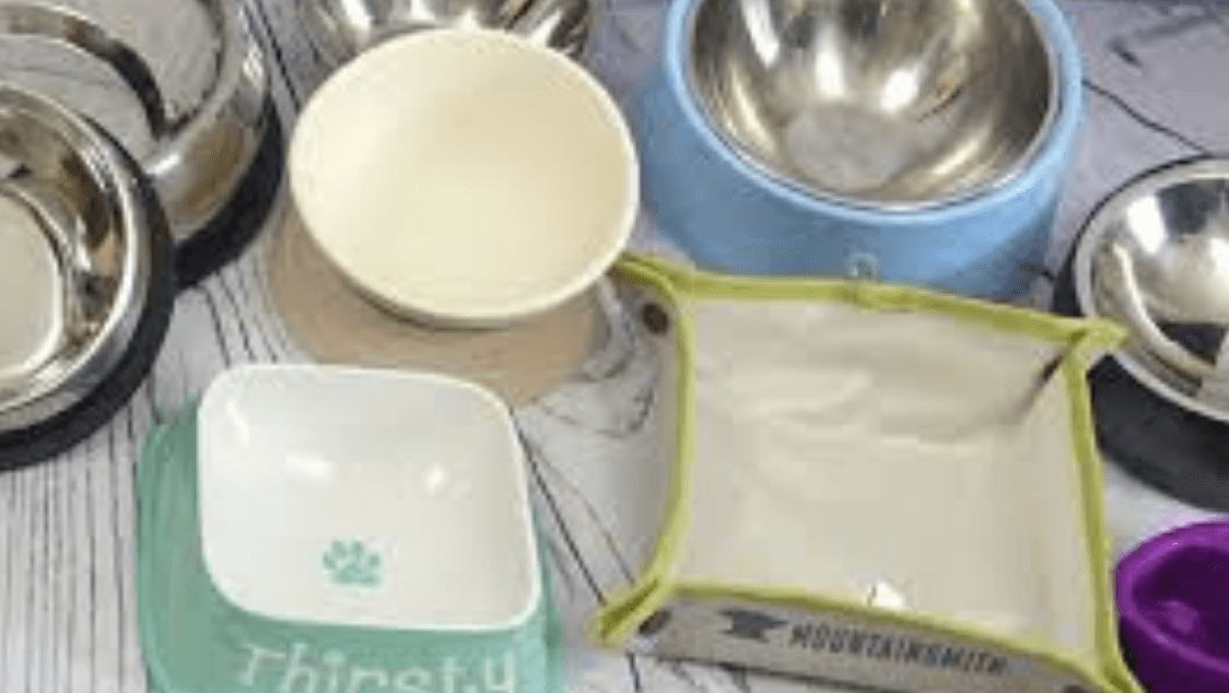 The Best Dog Bowls For Bulldogs image
