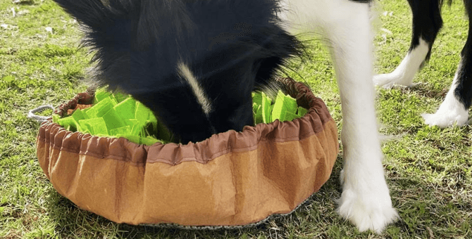 The Best Snuffle Mat For Dogs & Puppies image