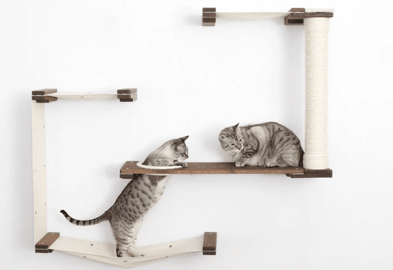 Best Modern Cat Trees for Home image